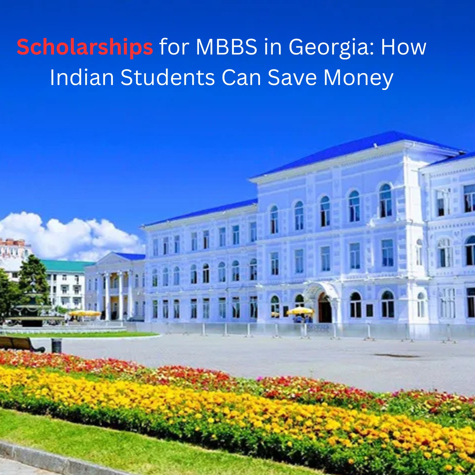 Scholarships for MBBS in Georgia: How Indian Students Can Save Money